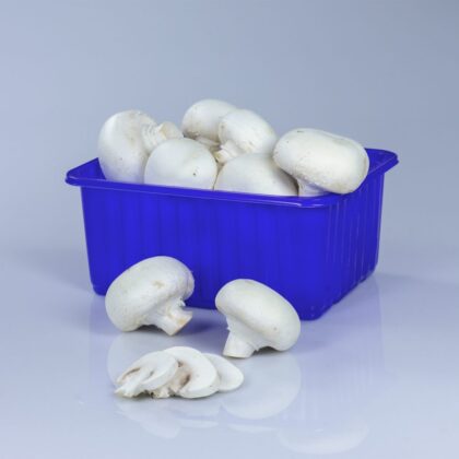 Champignons per bakje