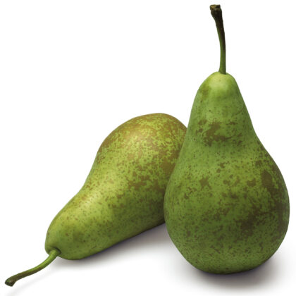 Conference peer per stuk