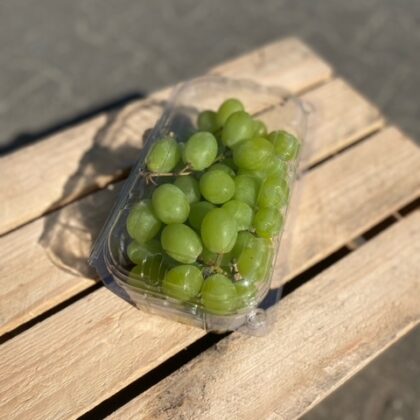 Witte druiven per bakje pitloos