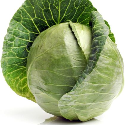 Witte kool per stuk