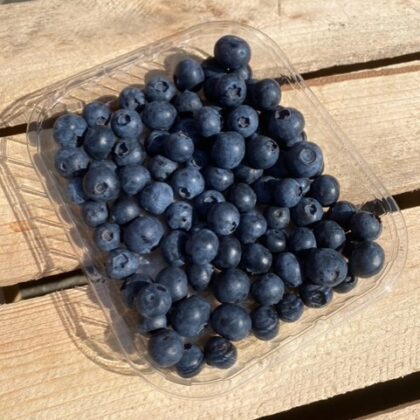Blauwe bessen