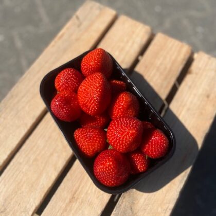 Hollandse aardbeien 2 dozen