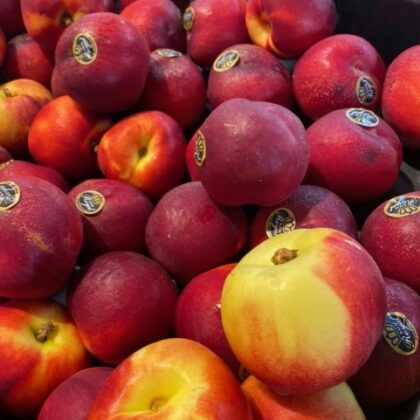 Nectarine per 500 gram
